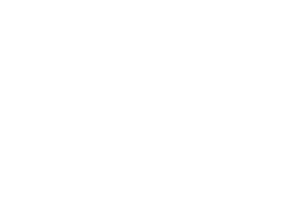 Metro Logistics